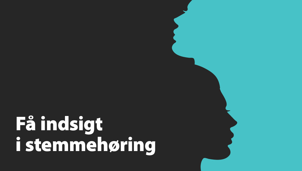 Stemmehøring: Giv stemmerne mening